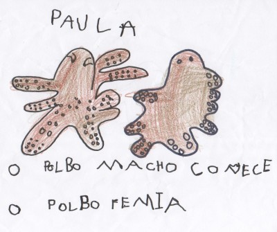 Pulsar para ver a imaxen orixinal